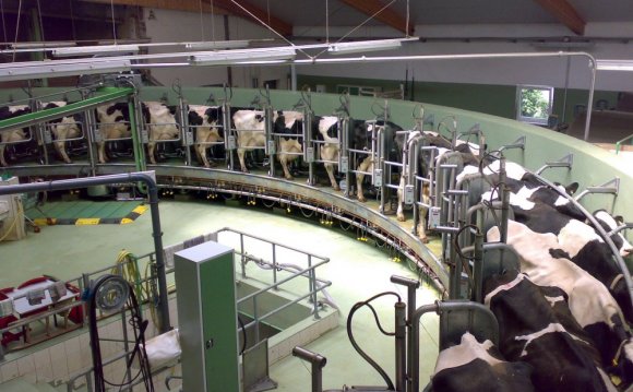 Factory Dairy Farms Down