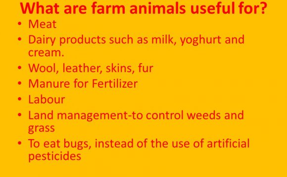 What are farm animals useful