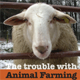 Cover of The Trouble with Farming report