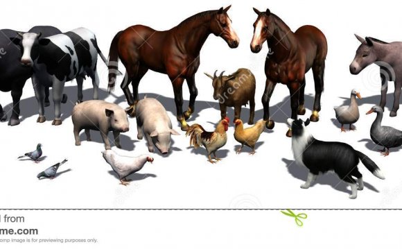 Different Farm animals