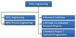 Organizational Structure of Agricultural Engineering Division