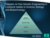 Agricultural genetic Engineering