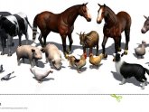 Different Farm animals