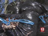 Orange County Solid Waste Management