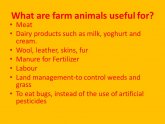 What are Farm animals?