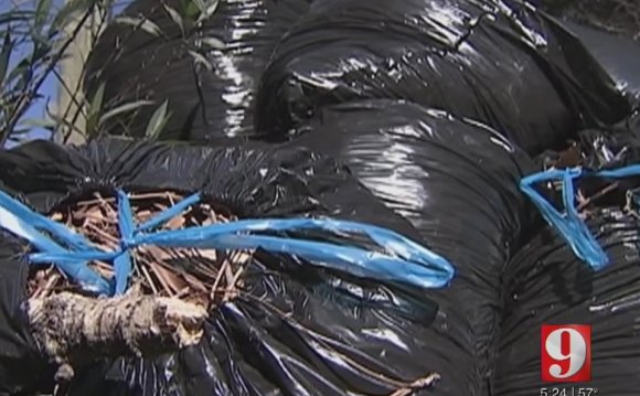 Orange County Solid Waste Management