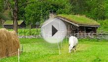 Animal husbandry livestock breeding, norwagian village