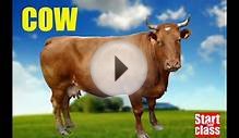 Animal Sounds for kids. Real farm animals.
