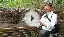 Cages used in Moon Bear farming (Catt-Trax 3)