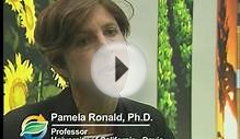Dr. Pamela Ronald: Genetic Engineering will help us reach