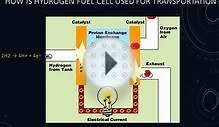 Hydrogen Fuel Cell Cannot Replace Fossil Fuel Internal