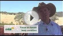 Improving Northern Beef production | Geoff Nicol QLD Beef