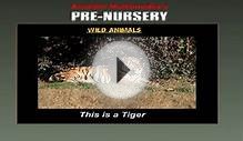 Learn Different Types of Wild animals and Pet animals for Kids