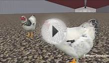 Poultry Farm Heating Solutions - Biomass Direct
