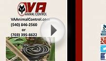 VA Animal Control | King George VA Animal Control