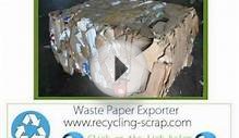 Waste Paper Export Companies